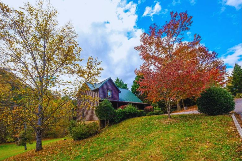 6 Reasons Gatlinburg Cabins Offer More Value Than Hotels